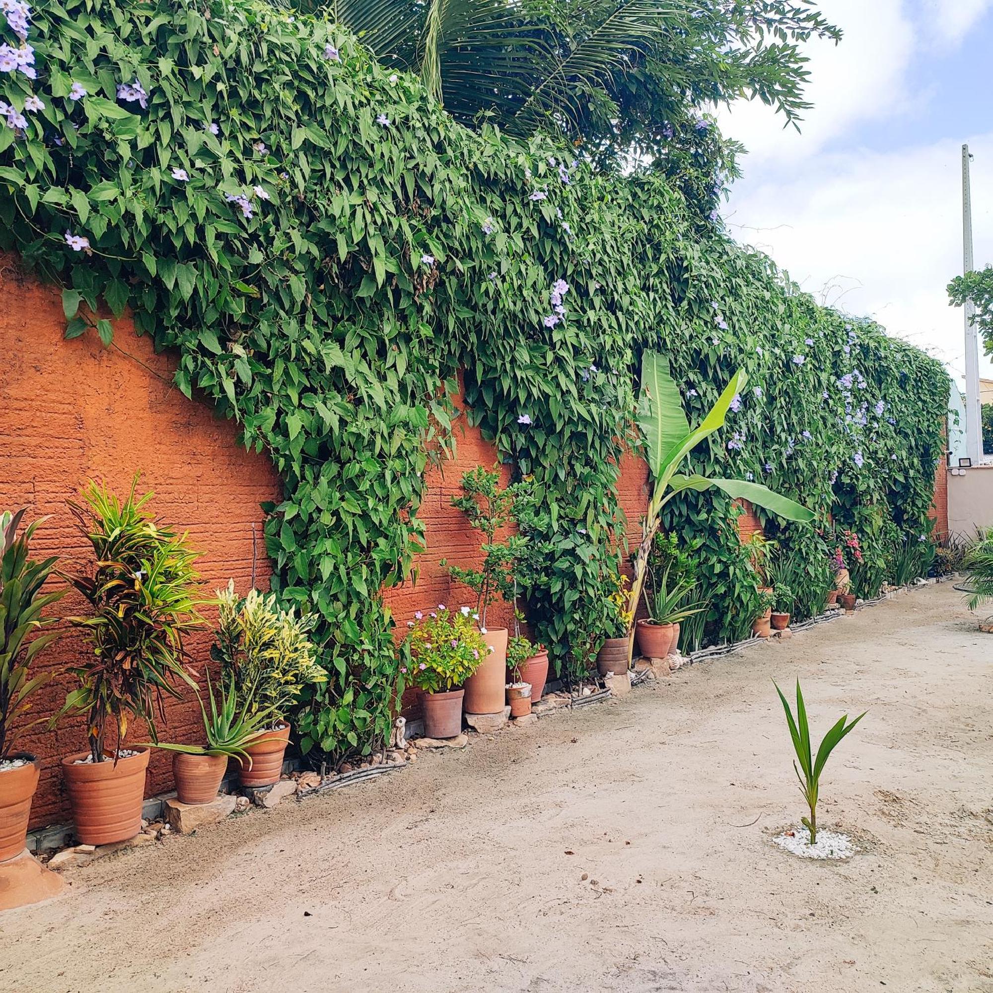 Suites De Ventto Em Popa - Sao Miguel Do Gostso Sao Miguel do Gostoso Ngoại thất bức ảnh